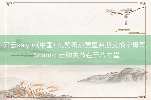 开云kaiyun(中国) 东契奇点赞里弗斯交换字母哥， Shams: 走动关节在于八寸壘