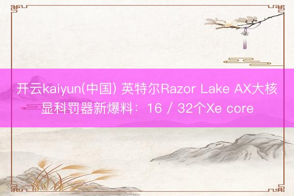 开云kaiyun(中国) 英特尔Razor Lake AX大核显科罚器新爆料：16 / 32个Xe core