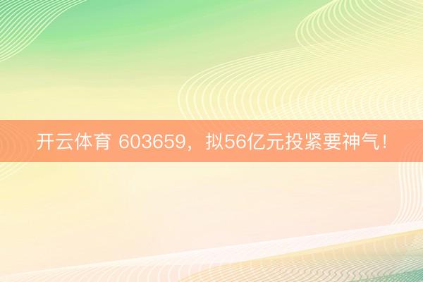 开云体育 603659，拟56亿元投紧要神气！