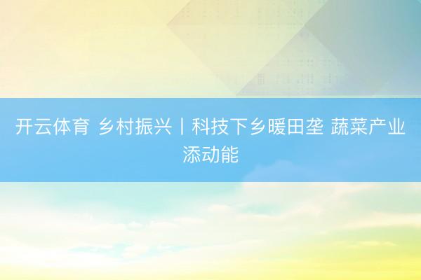 开云体育 乡村振兴丨科技下乡暖田垄 蔬菜产业添动能