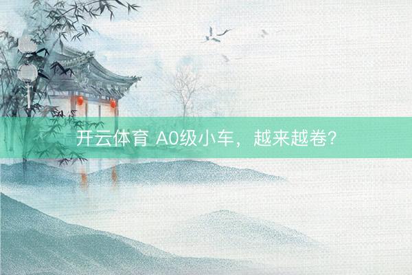开云体育 A0级小车，越来越卷？