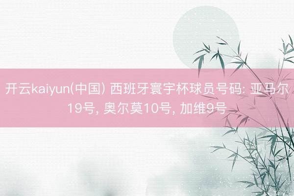 开云kaiyun(中国) 西班牙寰宇杯球员号码: 亚马尔19号， 奥尔莫10号， 加维9号
