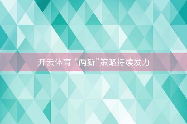 开云体育 “两新”策略持续发力