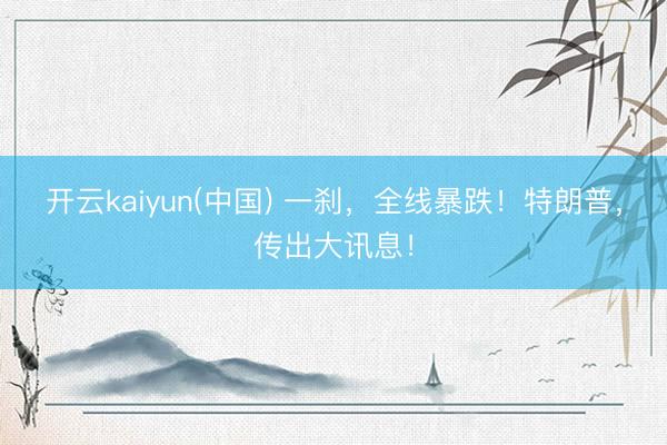 开云kaiyun(中国) 一刹，全线暴跌！特朗普，传出大讯息！