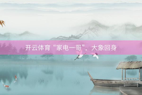 开云体育 “家电一哥”，大象回身