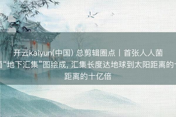 开云kaiyun(中国) 总剪辑圈点丨首张人人菌根真菌“地下汇集”图绘成, 汇集长度达地球到太阳距离的十亿倍
