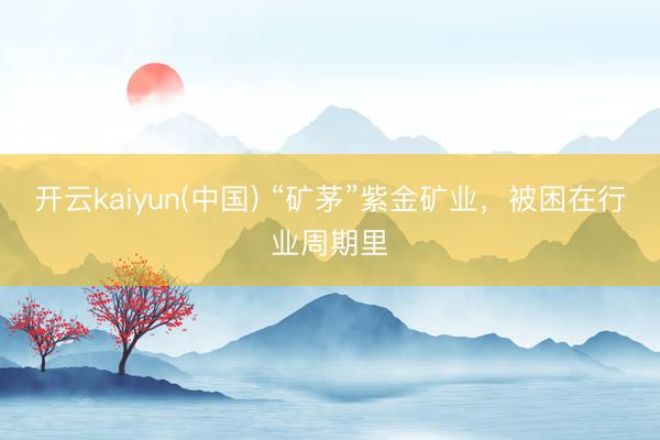 开云kaiyun(中国) “矿茅”紫金矿业,被困在行业周期里
